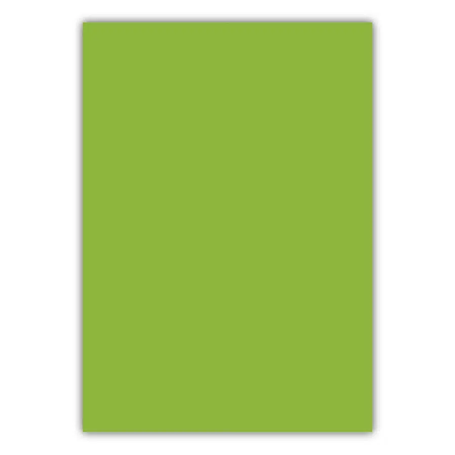 Bigpoint A4 Cilt Kapağı 150 Mikron Opak Açık Yeşil 100'lü Paket