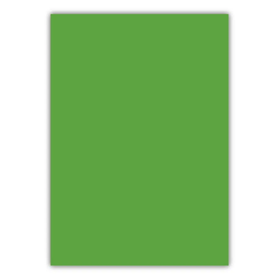 Bigpoint A4 Cilt Kapağı 150 Mikron Opak Yeşil 100'lü Paket