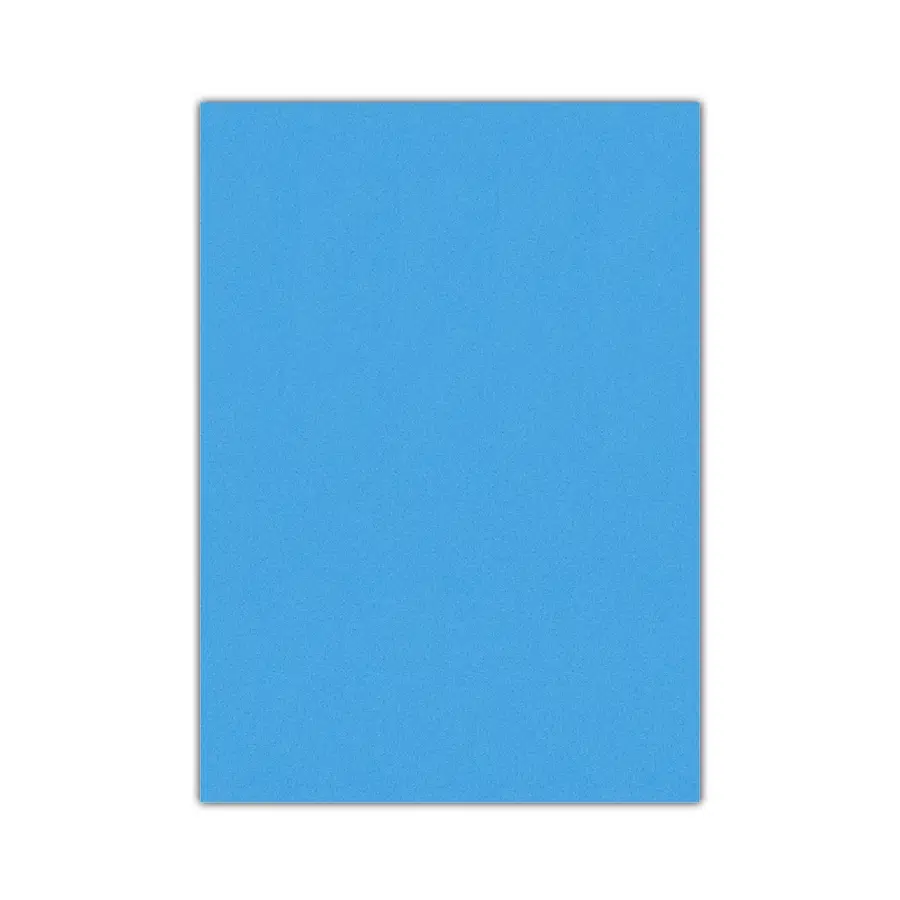 Bigpoint Eva 50x70cm Mavi 10'lu Paket