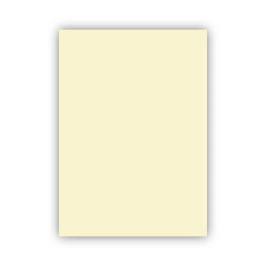 Bigpoint Fon Kartonu 50x70cm 160 Gram Fildişi x 100 Adet