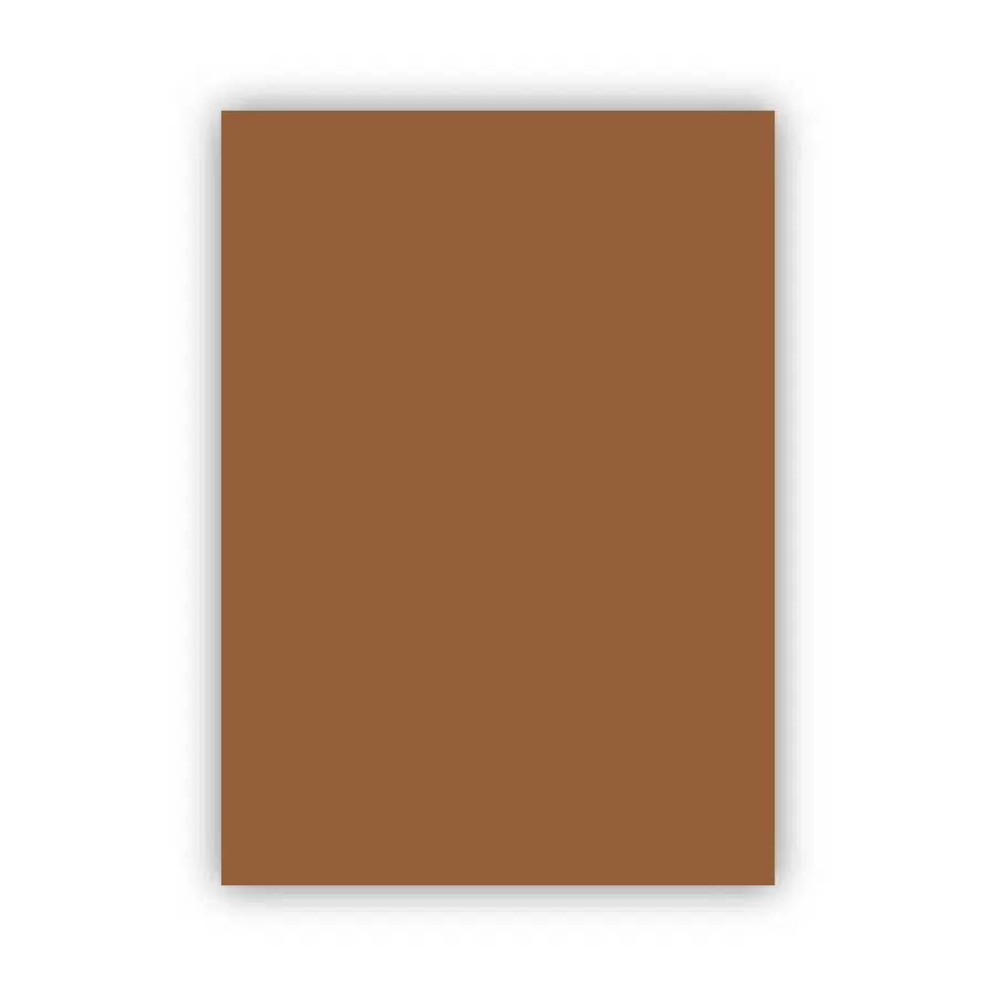 Bigpoint Fon Kartonu 50x70cm 160 Gram Kahverengi x 100 Adet