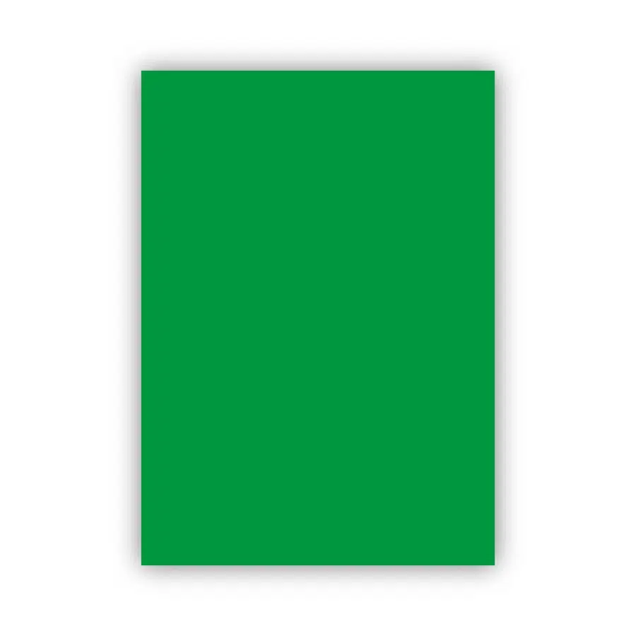 Bigpoint Fon Kartonu 50x70cm 160 Gram Koyu Yeşil 100'lü Paket