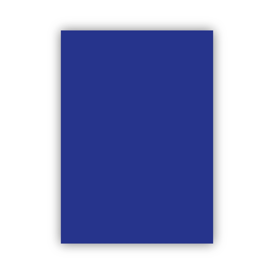 Bigpoint Fon Kartonu 50x70cm 160 Gram Lacivert 100'lü Paket
