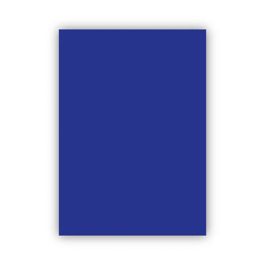 Bigpoint Fon Kartonu 50x70cm 160 Gram Lacivert 100'lü Paket