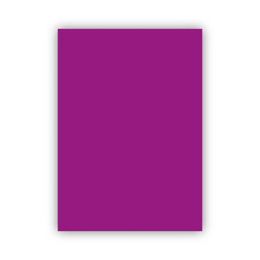 Bigpoint Fon Kartonu 50x70cm 160 Gram Mor 100'lü Paket