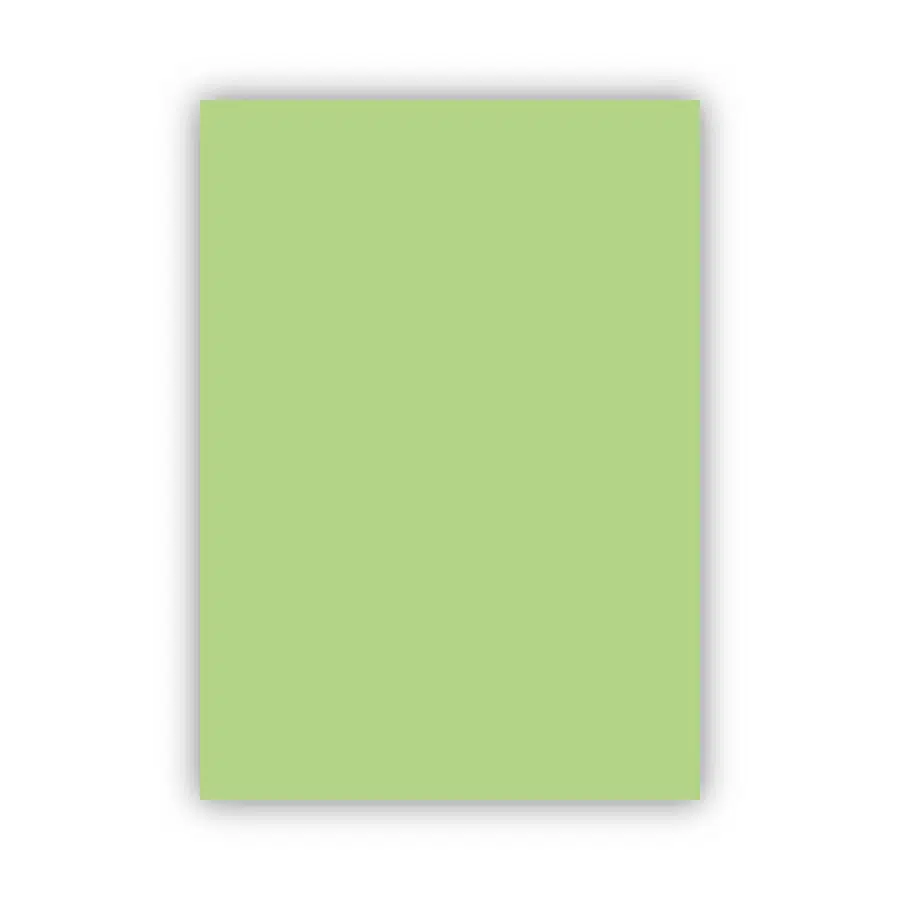 Bigpoint Fon Kartonu 50x70cm 160 Gram Uçuk Yeşil x 100 Adet