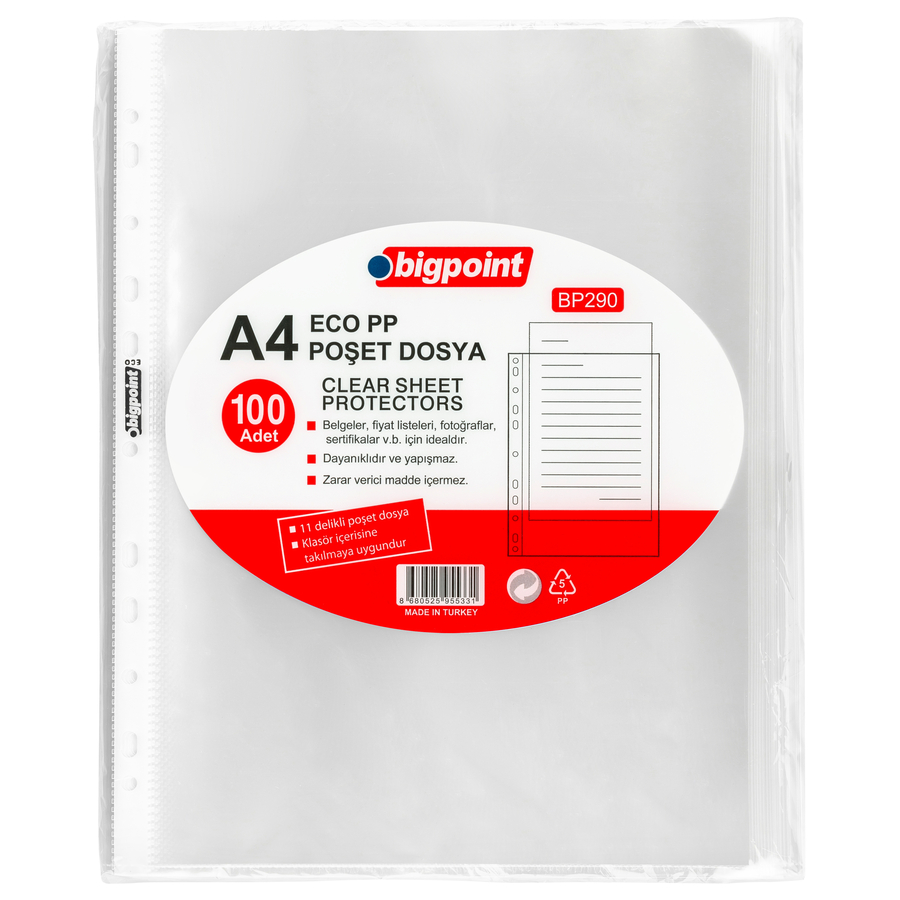 Bigpoint Poşet Dosya Eco 30 Mikron 100'lü Paket X 10 Adet