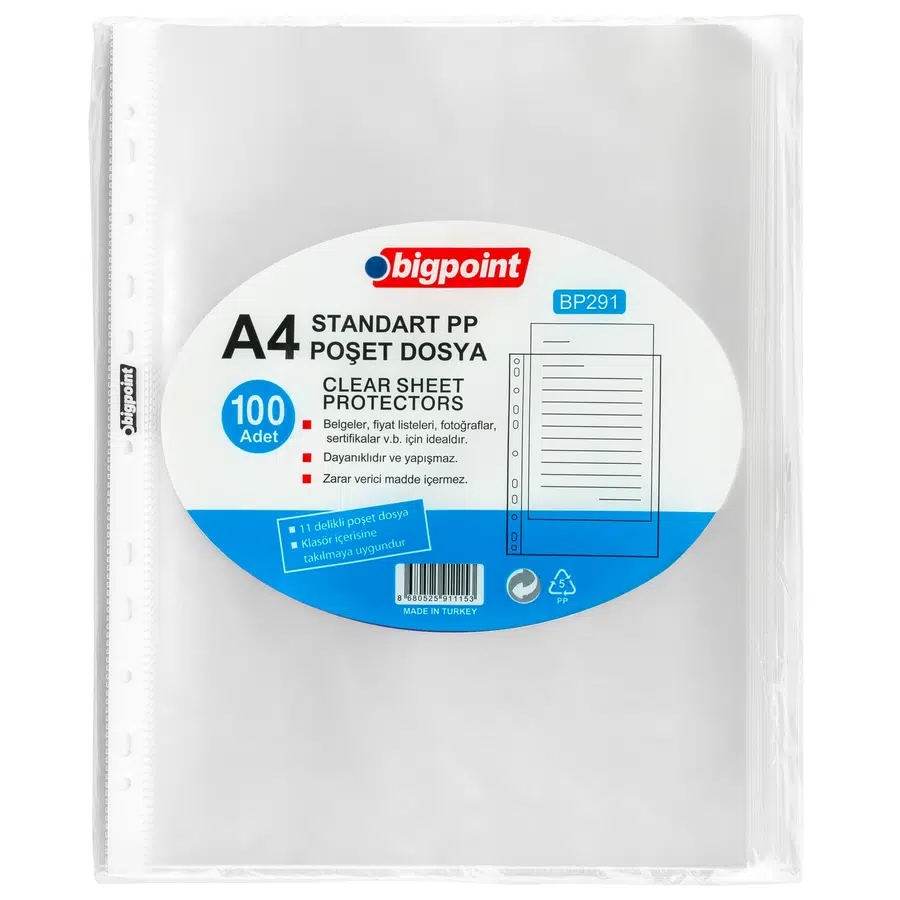 Bigpoint Poşet Dosya Standart 40 Mikron 100'lü Paket