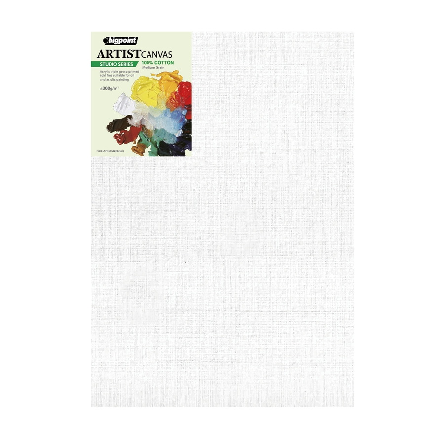 Bigpoint Studio Tuval 70x100cm - 300gram X 10 Adet